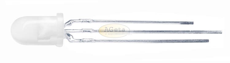 L59EGW