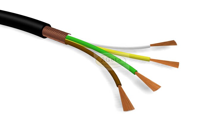 LIFYDY12
