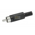 CSK1SW